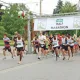 Twenty Valley Niagara Country Run