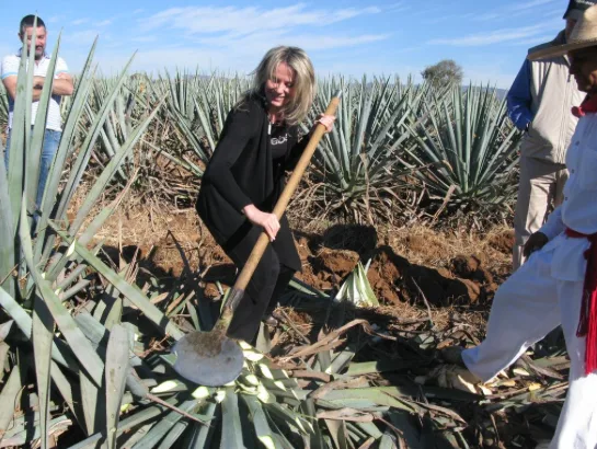 Georgia harvesting Agave at Casa Herradura.
