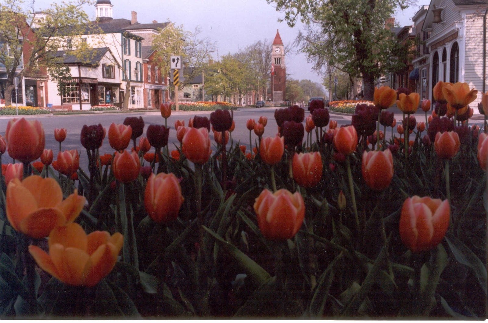 Niagara-on-the-Lake, Queen Street