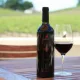 181 Merlot Lodi by Delicate Vineyards