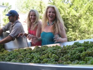 Fabre Montmayou, Mendoza, Argentina, Sorting Grapes,Harvest