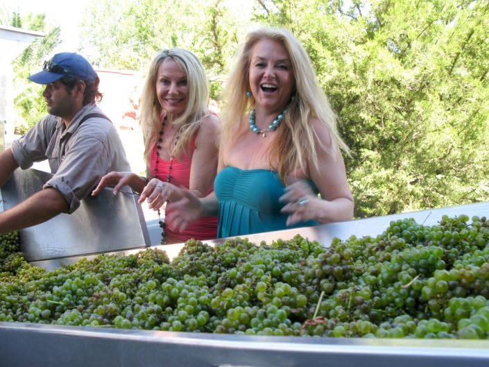 LifestyleMendoza,ArgentinaGrapeHarvest