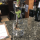 The next Riesling clone