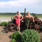 Rosehall Run Vineyards