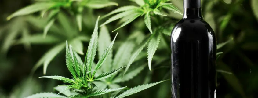 The Cannabis Sommelier