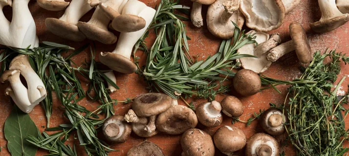 Mushrooms